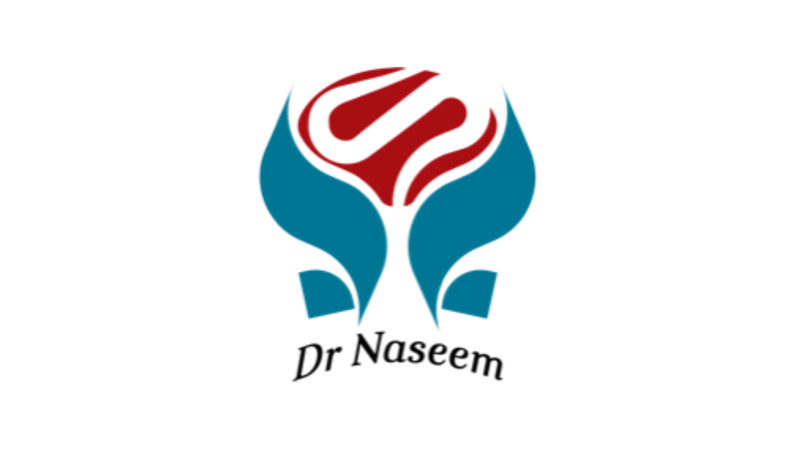 Dr. Naseem Mirbagheri
