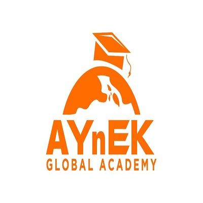 Aynek Global Academy