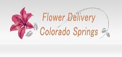 Same Day Flower Delivery Colorado Springs CO - Send Flowers