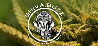 Shiva Buzz Online Dispensary