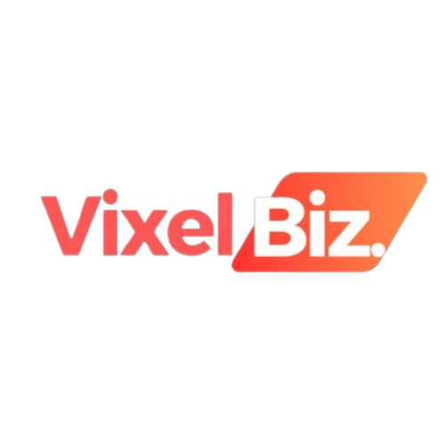 VixelBiz - Best SEO Agency in Delhi | SEO services in Delhi NCR