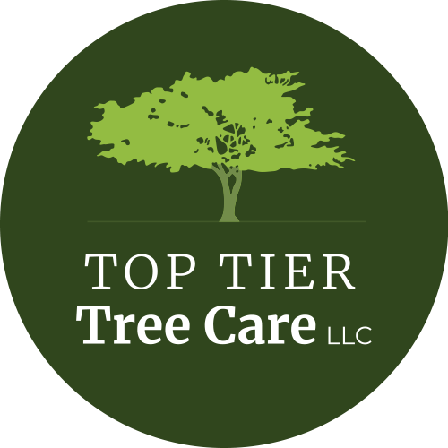 Top Tier Tree Care LLC