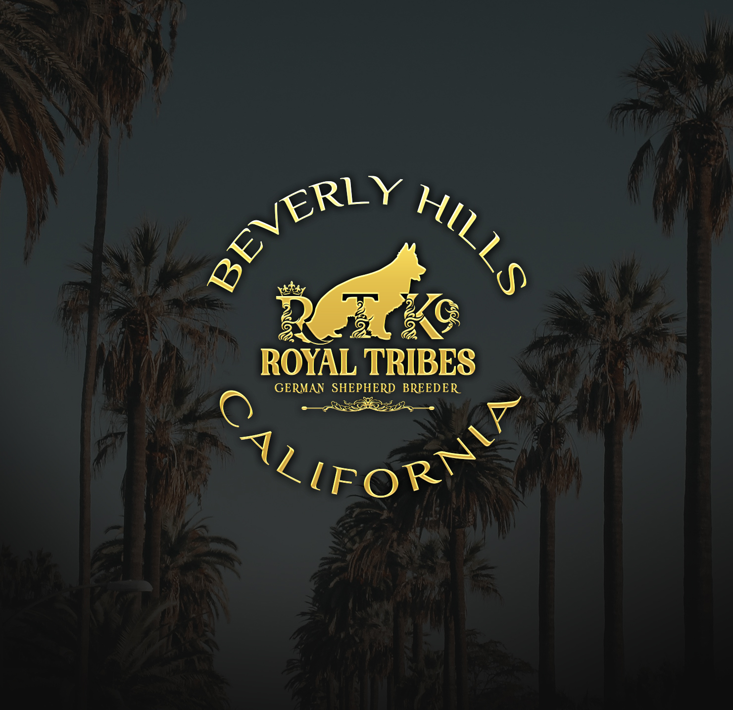 Royal Tribes K9 | German Shepherd Breeder | Beverly Hills California
