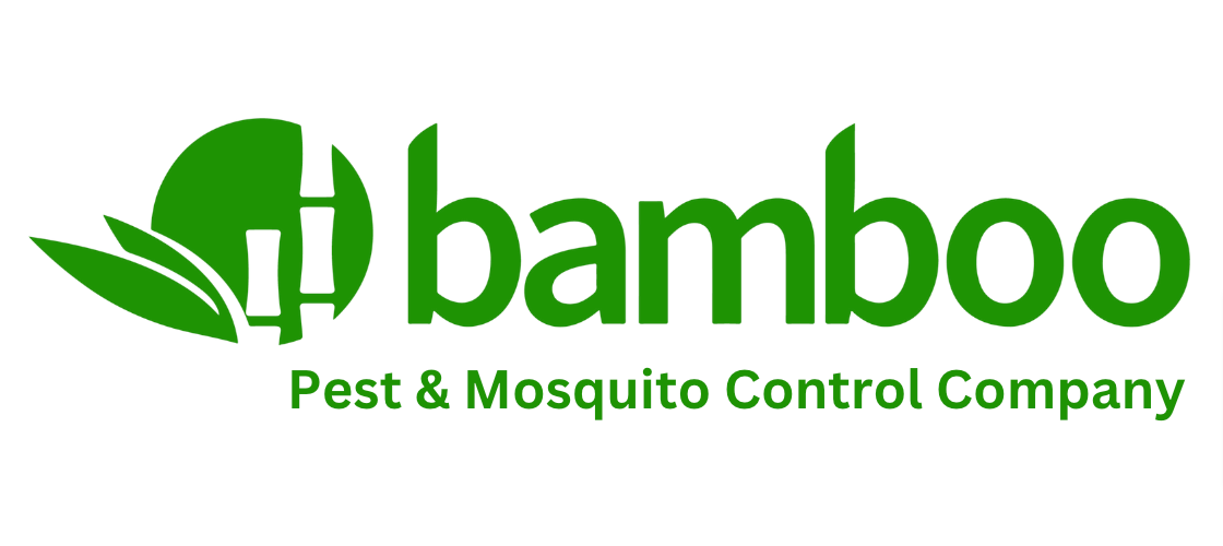 Bamboo Pest Control Servicing