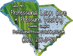  Professional Lawn Care & Pressure Washing