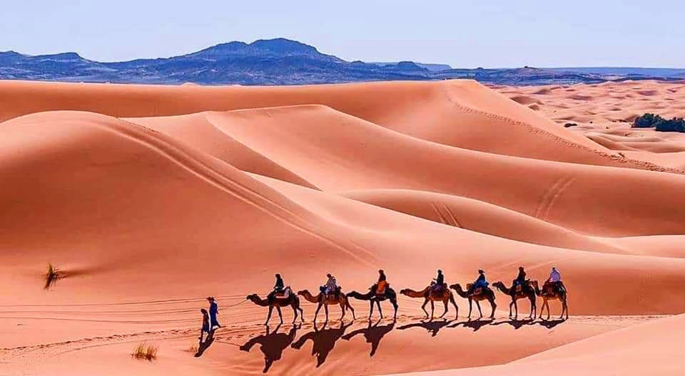 Morocco Tours 
