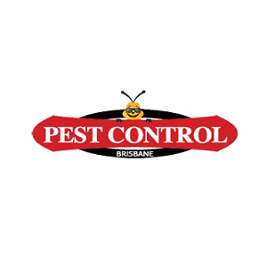 Best Pest Control Brisbane