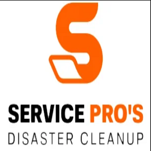 Water Damage Pros of Decatur