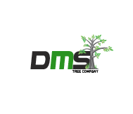 DMS Tree Removal