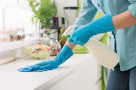 DP Cleaner Services
