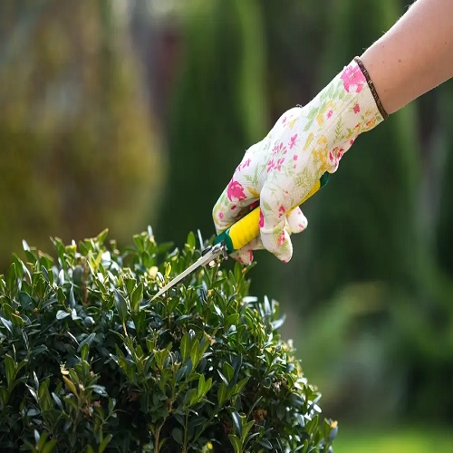 Landscapers Hornsey