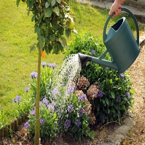 Landscapers Muswell Hill