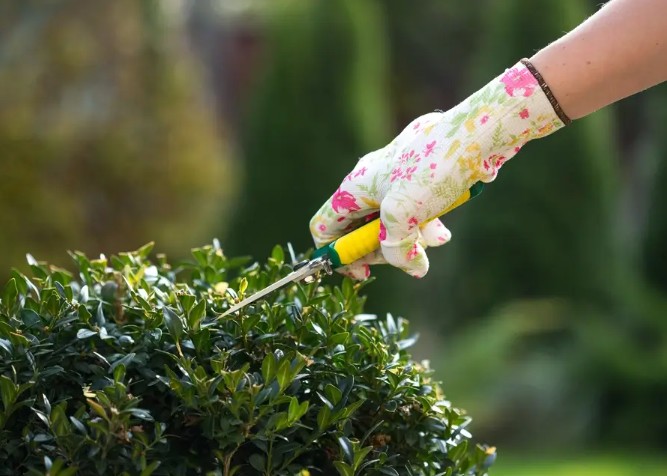 Landscapers Mill Hill