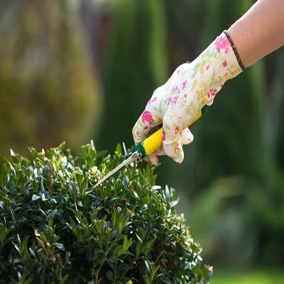 Landscapers Acton