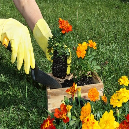 Landscapers Greenwich