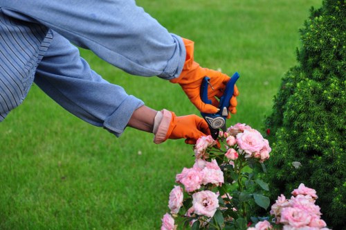 Landscapers Leytonstone