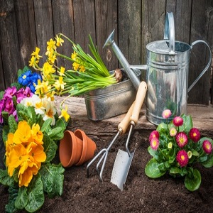 Landscapers Hendon