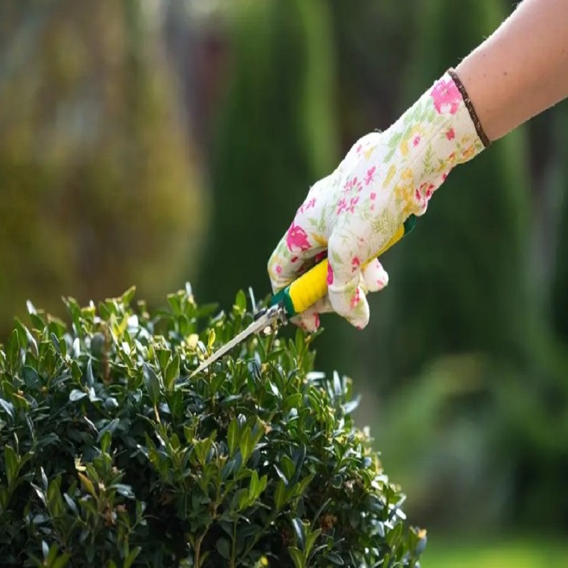 Pressure Washing Finsbury Park