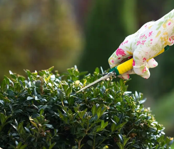Pressure Washing Kensington