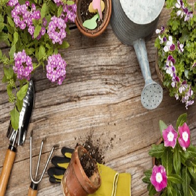 Landscapers Wanstead