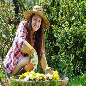 Landscapers Dalston