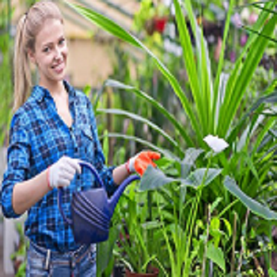 Landscapers Battersea