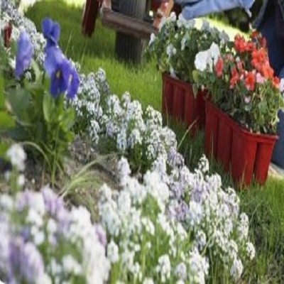 Landscapers Blackheath