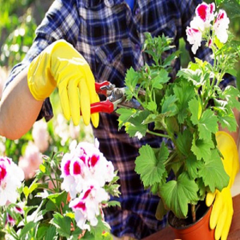 Landscapers Highgate