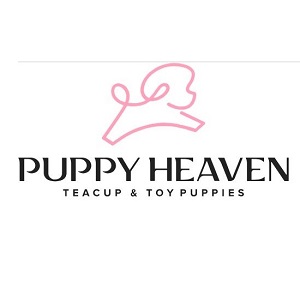 Puppy Heaven