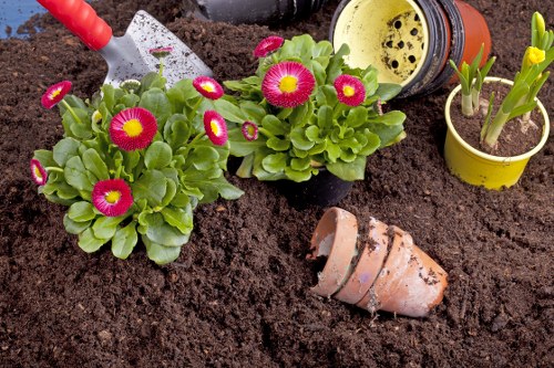 Landscapers Fitzrovia