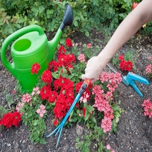Pressure Washing Penge