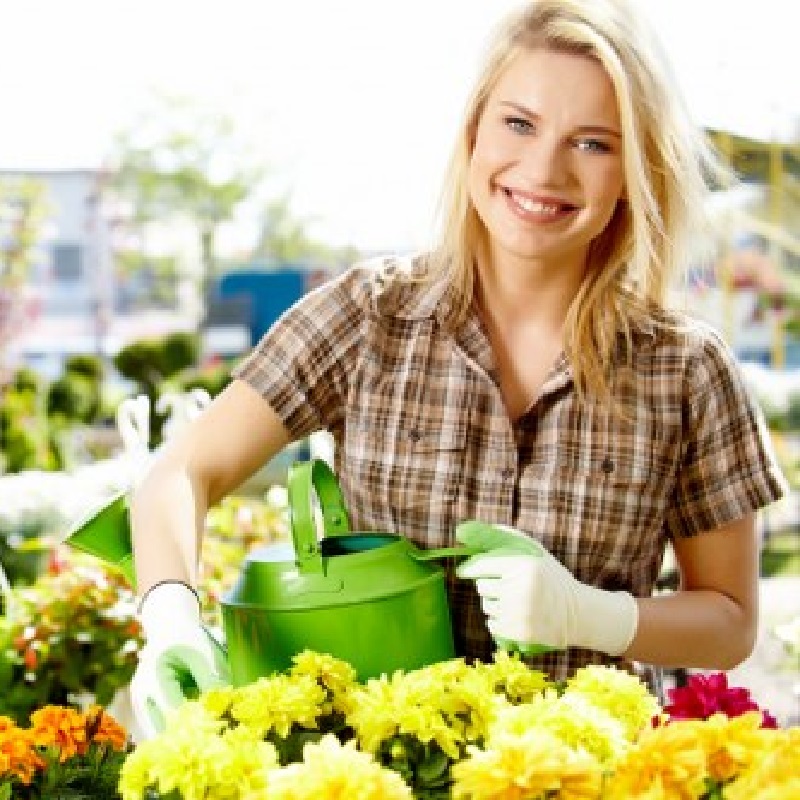Pressure Washing Southgate