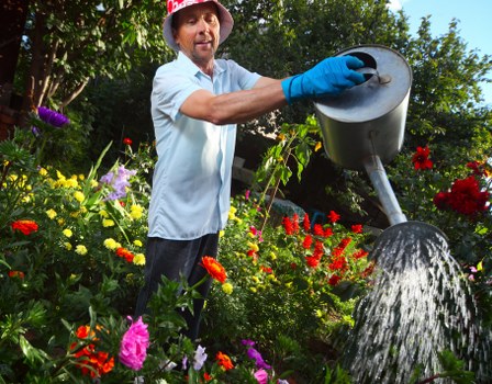 Pressure Washing Barking