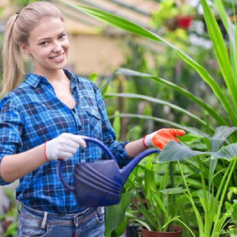 Pressure Washing Queens Park