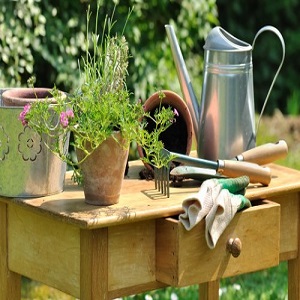 Landscapers Pinner