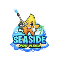 Seaside Pro Wash