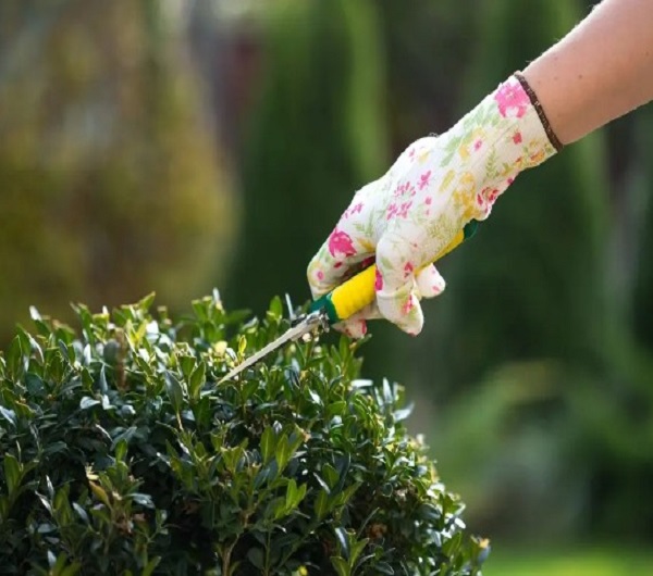Pressure Washing Newham