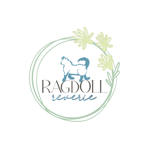 Ragdoll Reverie