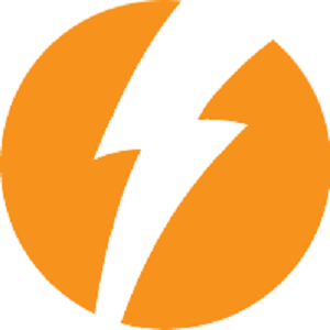Flash Repair