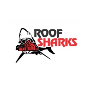 The Roof Sharks (Bridgeport, CT)