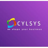 cylsys software solution pvt ltd.