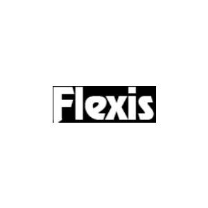 Flexis IT