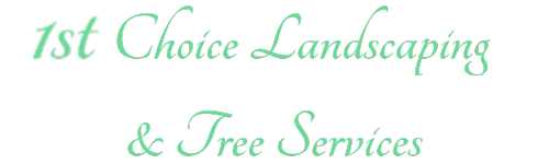 1st Choice Landscaping and Tree Services | Professional Tree Services Cardiff