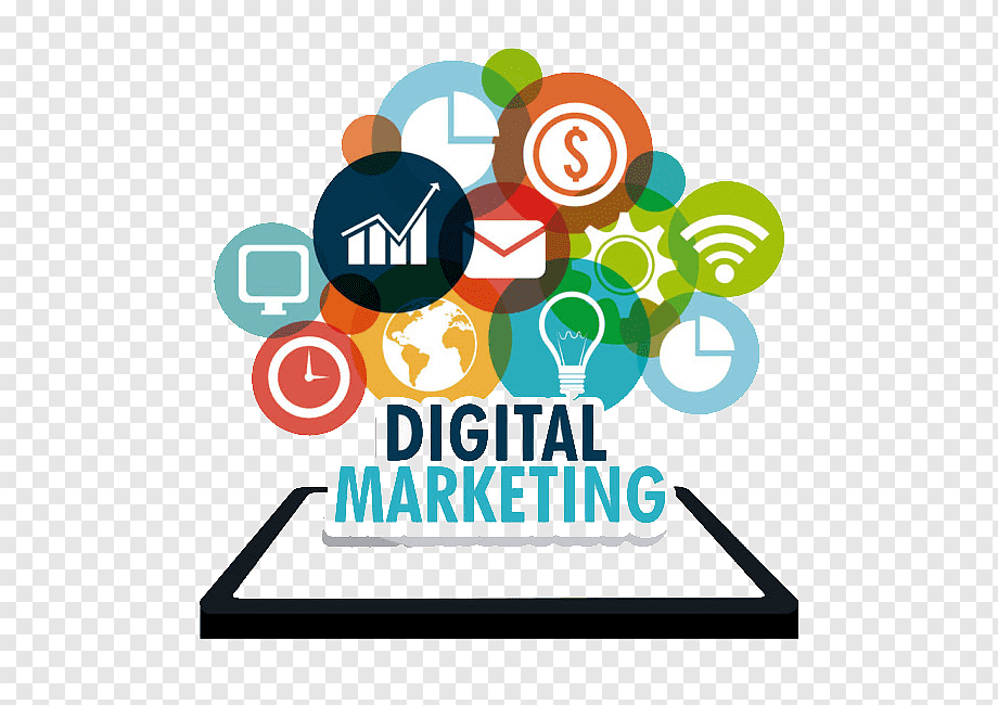 Noor SEO services