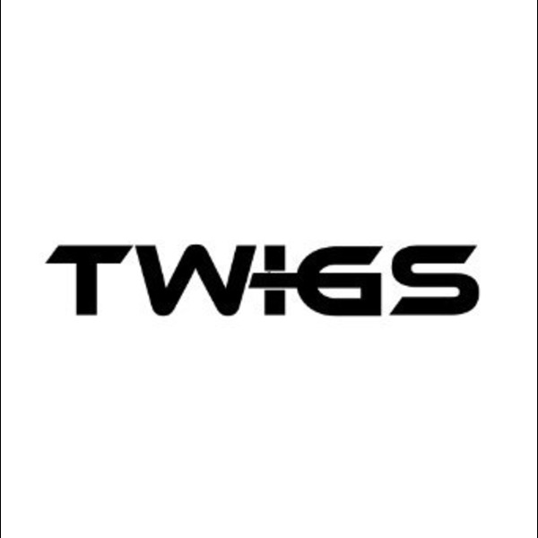 Twigs advertising LLC