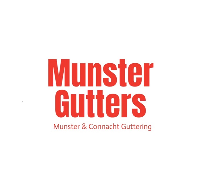 Munster Gutters & Roof Repairs