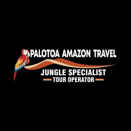 Palotoa Amazon Travel