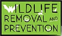 Wildlife Removal & Prevention