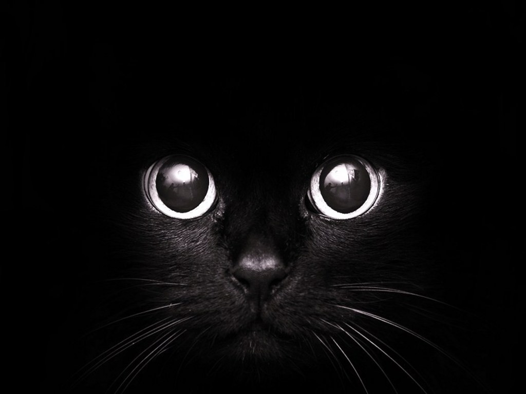 Laser Away