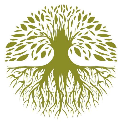 Blackpool Tree Surgeon